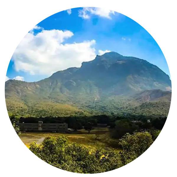Glory and Spiritual Significance of Girnar for Jain Devotees
